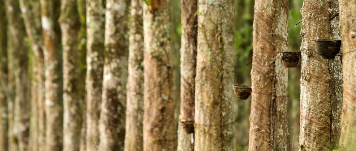 Deutsche Bank and Halcyon Agri Partner on Sustainability Through Innovative New Loan
